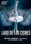 Imagen de Lago De Los Cisnes