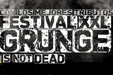 Imagen de Festival XL Grunge Is Not Dead